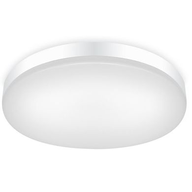 Светильник EZRA DNR-12 AC220В 12W IP44 холодный белый (D240 H58)