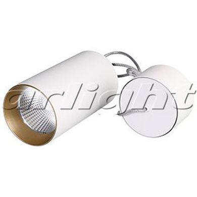 Светильник подвесной SP-POLO-R85-2-15W Warm White 40градусов White, Gold Ring 022944 EZRA