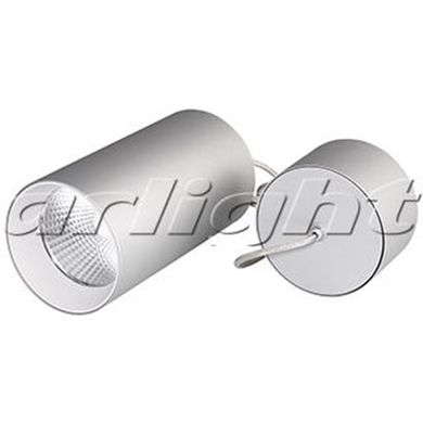 Светильник подвесной SP-POLO-R85-2-15W Day White 40градусов Silver, White Ring 022968 EZRA