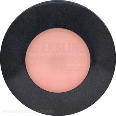 Светильник BS 2031-1 GRR2 4501006580 EUROLED