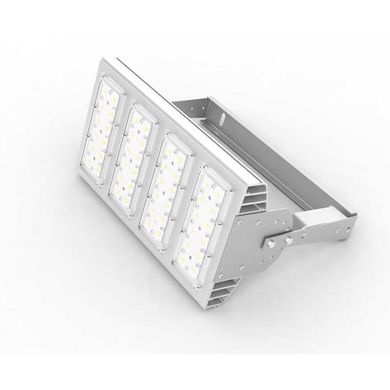 Прожектор LED Olymp PHYTO Premium 100Вт 206мкмоль/с IP65 120° для растений V1-I2-70077-04L05-6510040 EUROLED