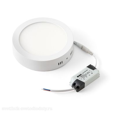 Светильник накладной LED 25Вт 3000К 1600lm D220 DSV-0769 EL