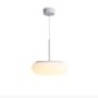 Светильник подвесной Decorative Pendant EZRA-DEC-D20-24W 24W Dimmable